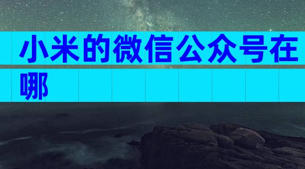 小米的微信公众号在哪