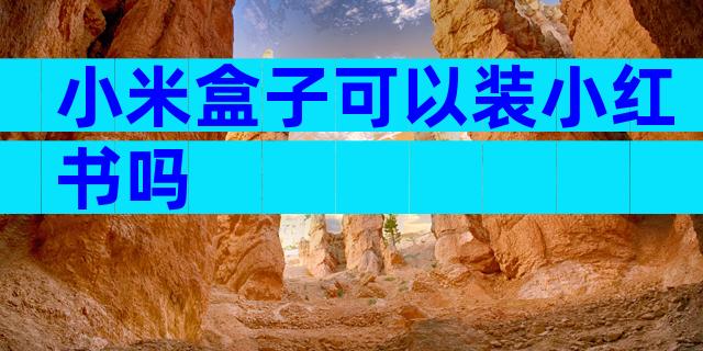 小米盒子可以装小红书吗