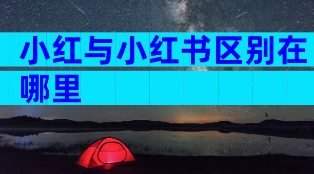 小红与小红书区别在哪里