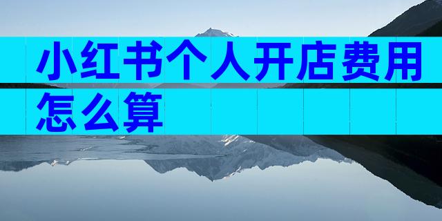 小红书个人开店费用怎么算