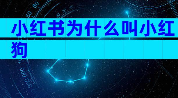 小红书为什么叫小红狗