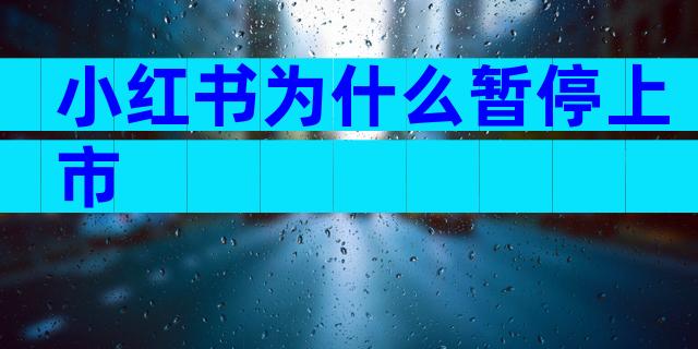 小红书为什么暂停上市