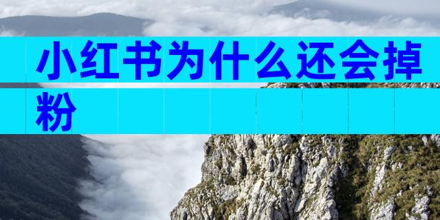 小红书为什么还会掉粉