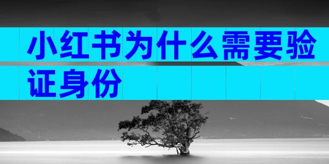 小红书为什么需要验证身份