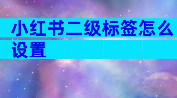 小红书二级标签怎么设置