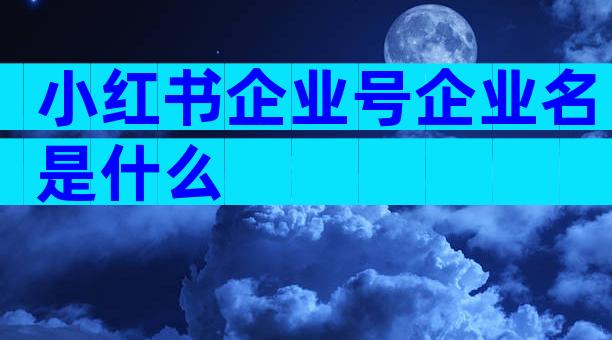 小红书企业号企业名是什么