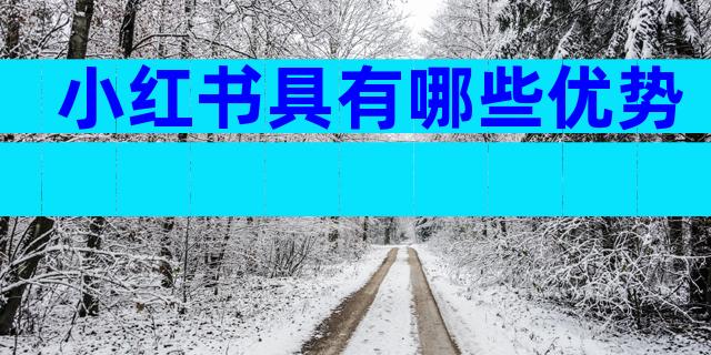 小红书具有哪些优势