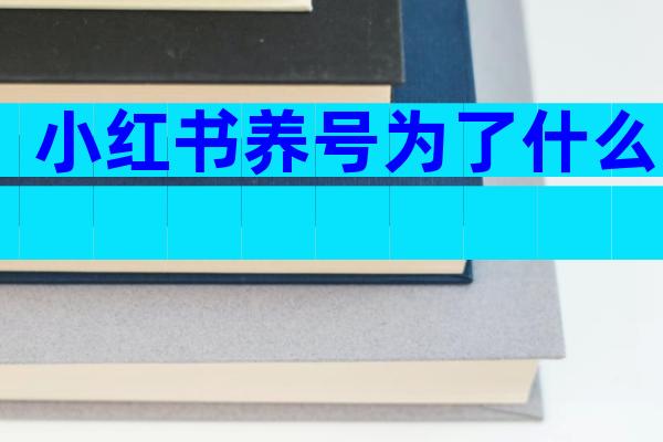 小红书养号为了什么