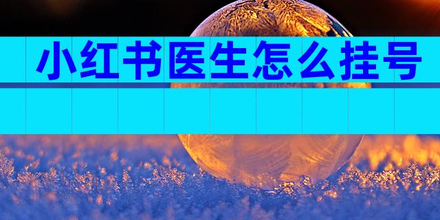 小红书医生怎么挂号
