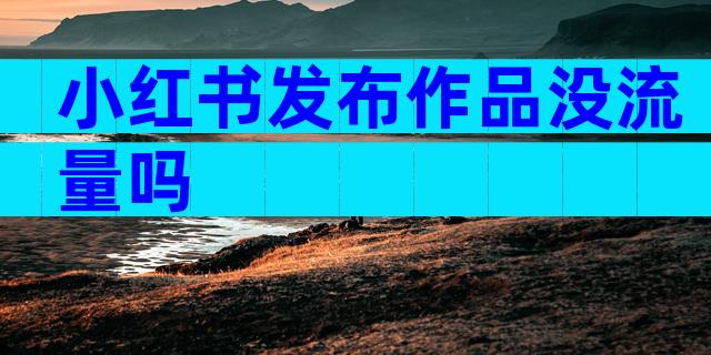 小红书发布作品没流量吗