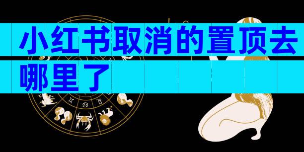 小红书取消的置顶去哪里了