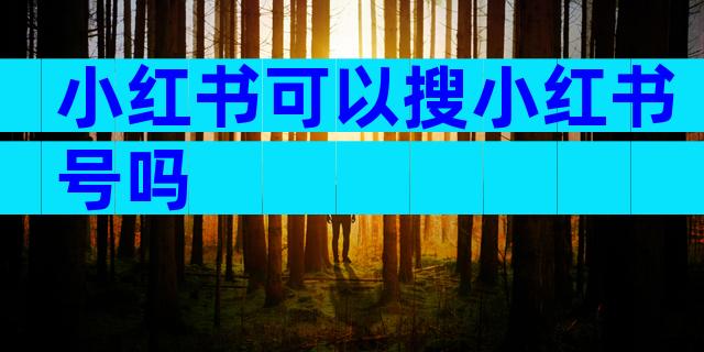 小红书可以搜小红书号吗