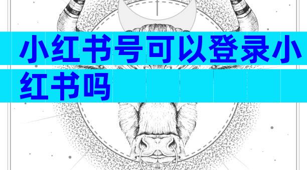 小红书号可以登录小红书吗