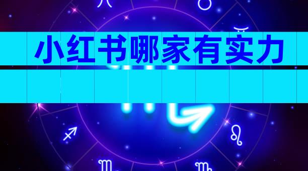 小红书哪家有实力