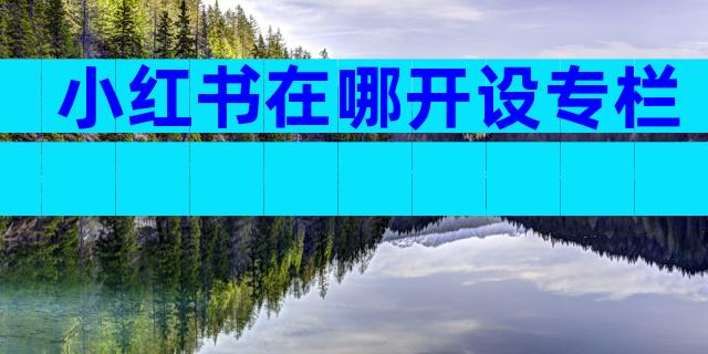 小红书在哪开设专栏