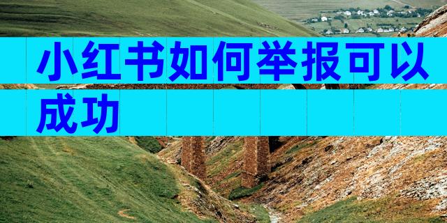 小红书如何举报可以成功