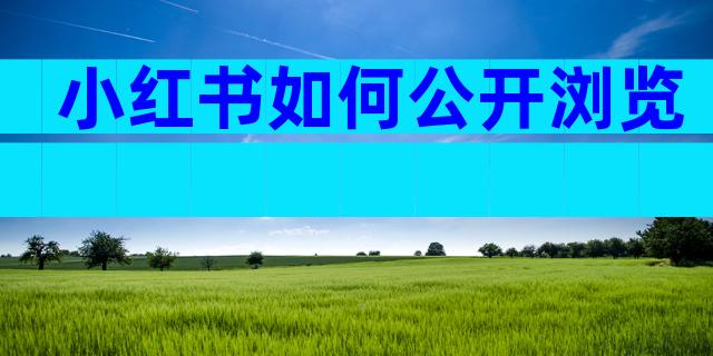 小红书如何公开浏览