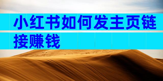 小红书如何发主页链接赚钱