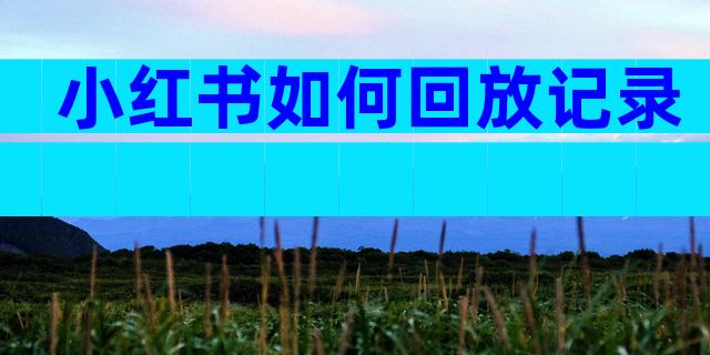 小红书如何回放记录