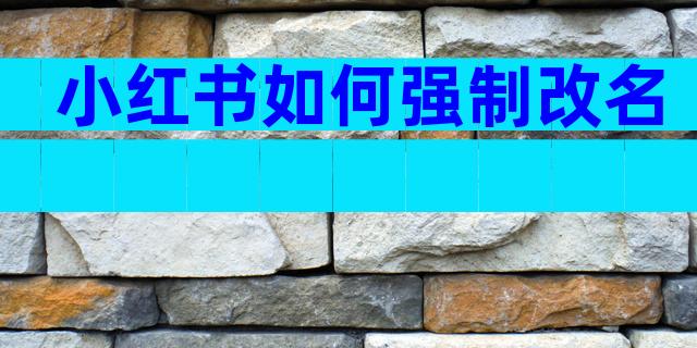 小红书如何强制改名