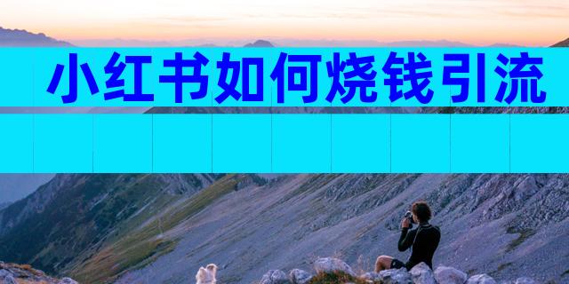 小红书如何烧钱引流