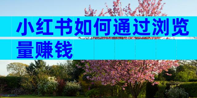 小红书如何通过浏览量赚钱