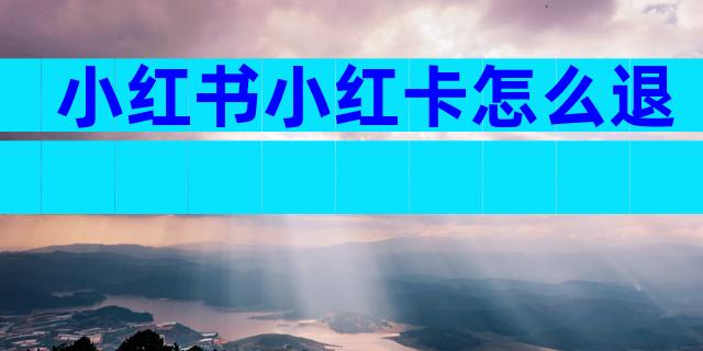 小红书小红卡怎么退