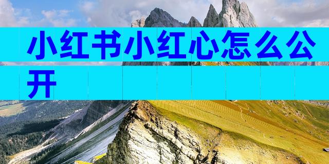 小红书小红心怎么公开