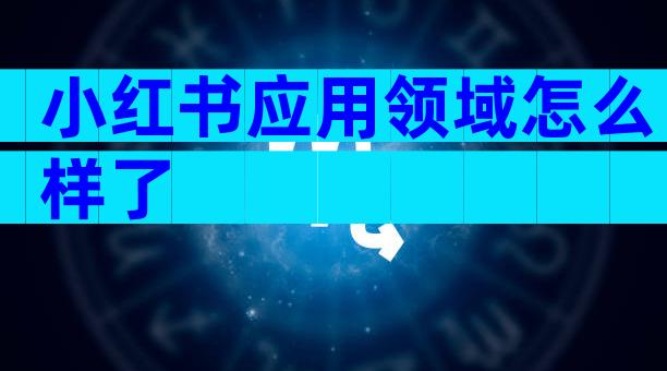 小红书应用领域怎么样了