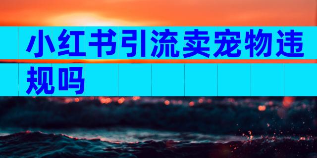 小红书引流卖宠物违规吗
