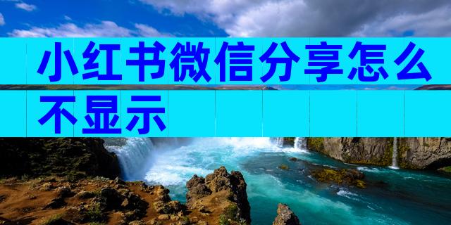 小红书微信分享怎么不显示