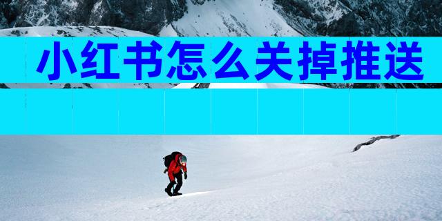 小红书怎么关掉推送