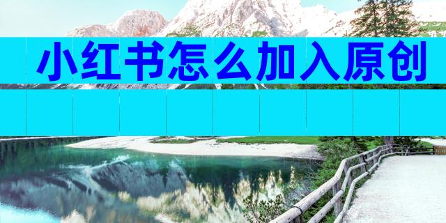 小红书怎么加入原创