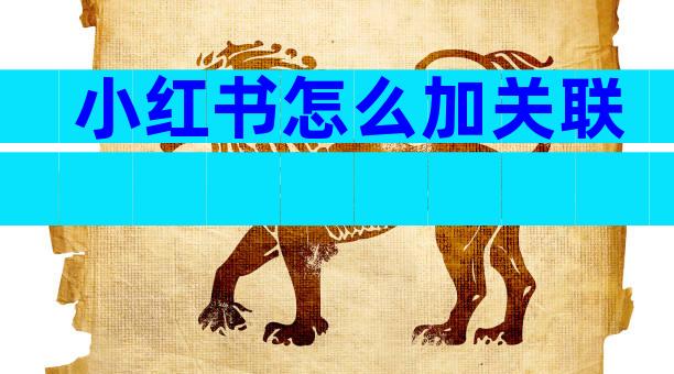 小红书怎么加关联