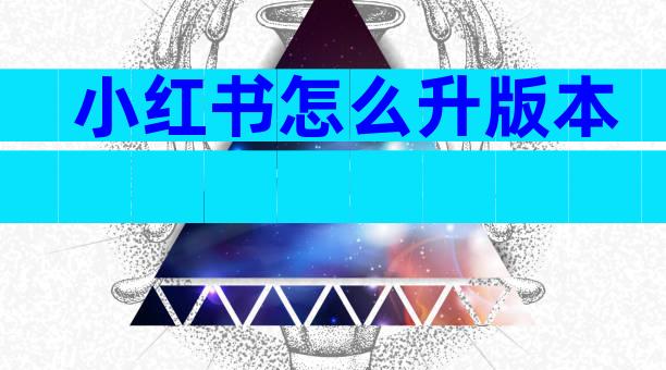 小红书怎么升版本