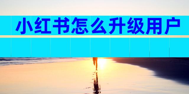 小红书怎么升级用户