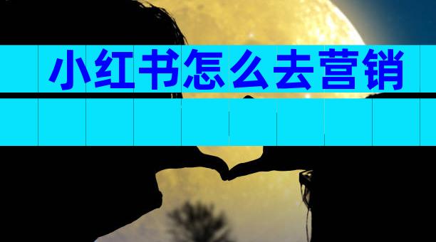 小红书怎么去营销