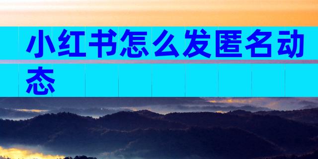 小红书怎么发匿名动态