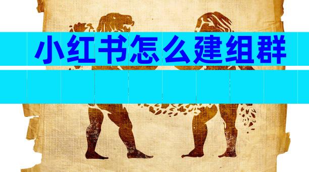 小红书怎么建组群