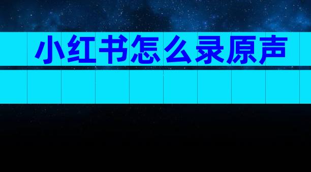 小红书怎么录原声