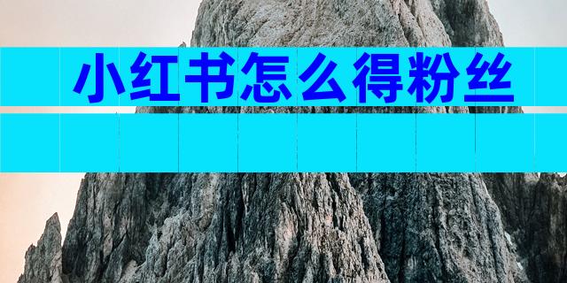 小红书怎么得粉丝