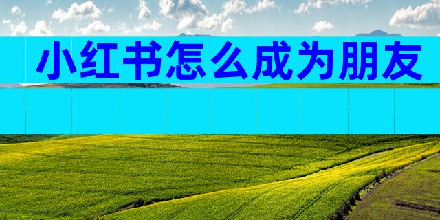 小红书怎么成为朋友
