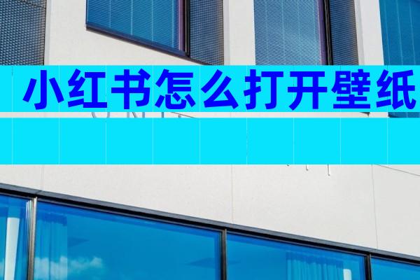 小红书怎么打开壁纸