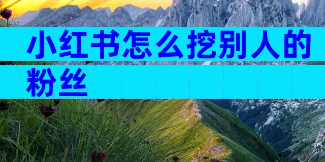 小红书怎么挖别人的粉丝