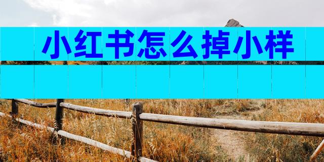小红书怎么掉小样
