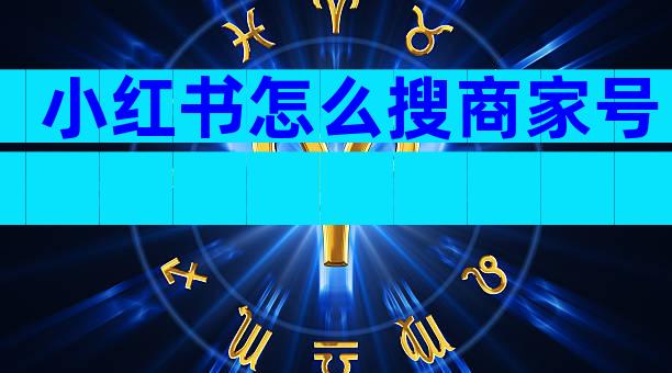 小红书怎么搜商家号