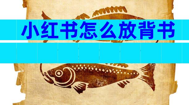 小红书怎么放背书