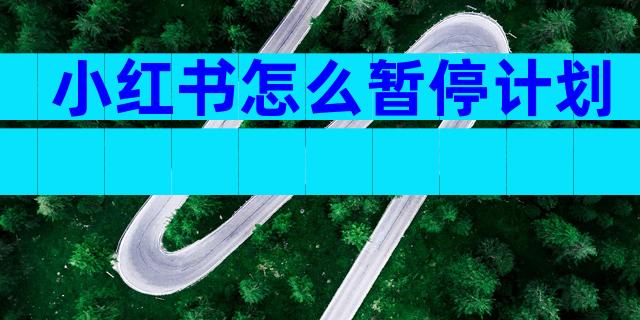 小红书怎么暂停计划