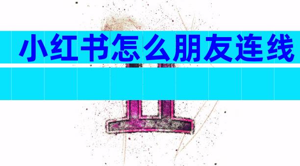 小红书怎么朋友连线