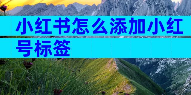 小红书怎么添加小红号标签